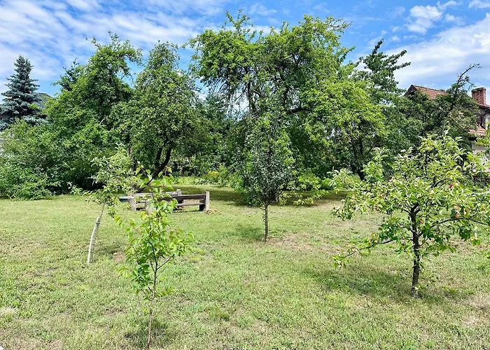 Holiday home Letniskowy Bio Box